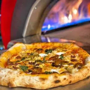 Clementi Original Dual Fuel Pizza Oven
